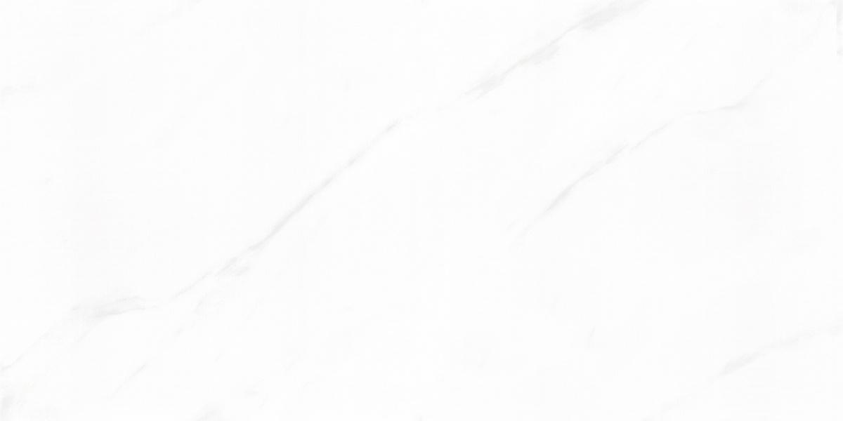 449471_1