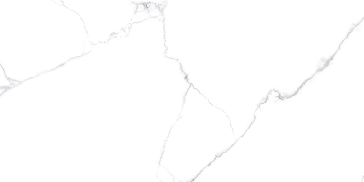 436267_1