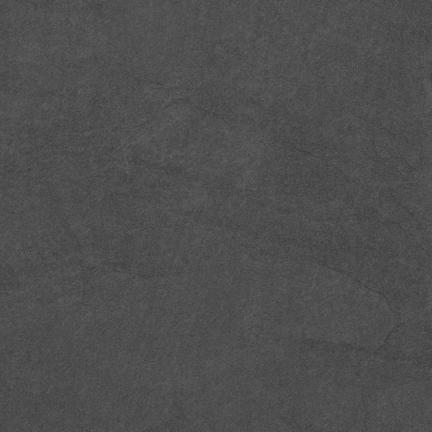 449391_2