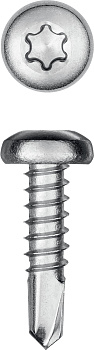 KRAFTOOL DS-P, 13 х 4.2 мм, А2, сверло, полукруглая головка, ТХ20, 600 шт, саморез нержавеющий (3009