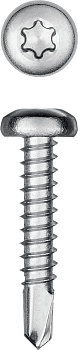 KRAFTOOL DS-P, 25 х 4.2 мм, А2, сверло, полукруглая головка, ТХ20, 400 шт, саморез нержавеющий (3009