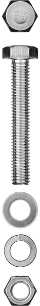 4875650