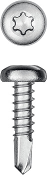 KRAFTOOL DS-P, 13 х 3.5 мм, А2, сверло, полукруглая головка, ТХ15, 1000 шт, саморез нержавеющий (300