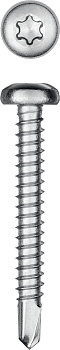 KRAFTOOL DS-P, 38 х 4.8 мм, А2, сверло, полукруглая головка, ТХ25, 200 шт, саморез нержавеющий (3009