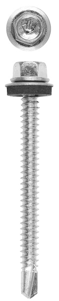 4818196