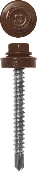 4818302