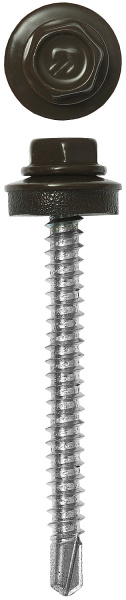 4818366