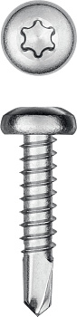 KRAFTOOL DS-P, 19 х 3.9 мм, А2, сверло, полукруглая головка, ТХ15, 750 шт, саморез нержавеющий (3009