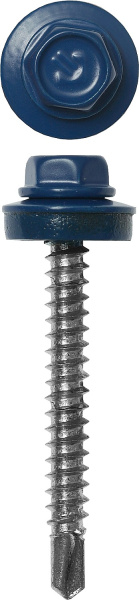 4818244