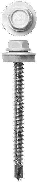 4818161