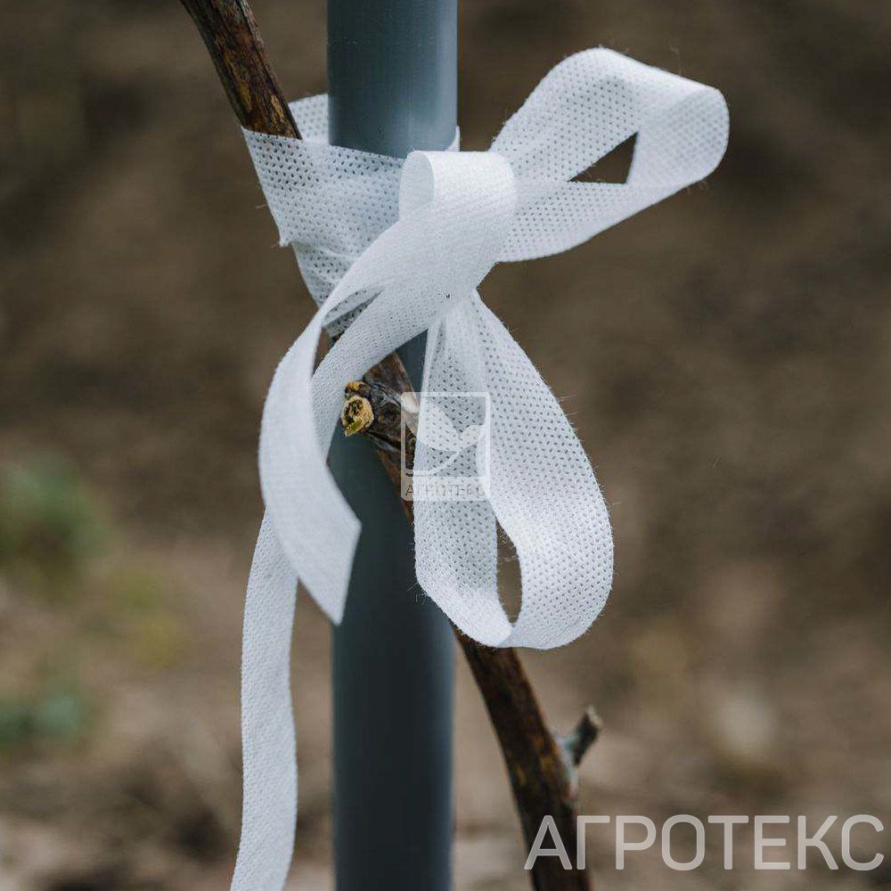 32.01.29.02.00.000.0000.0000.00_2