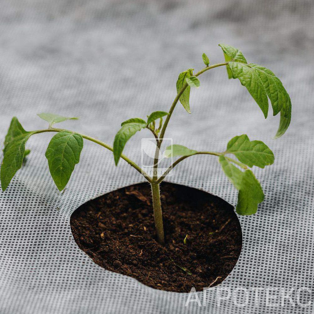 32.01.26.01.00.000.0000.0000.00_2