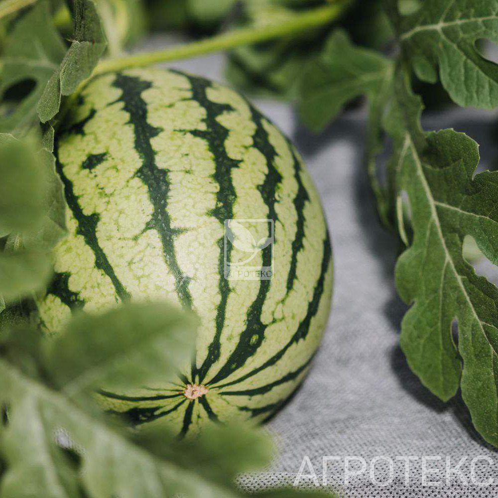 32.01.57.02.24.080.0200.1600.00_5