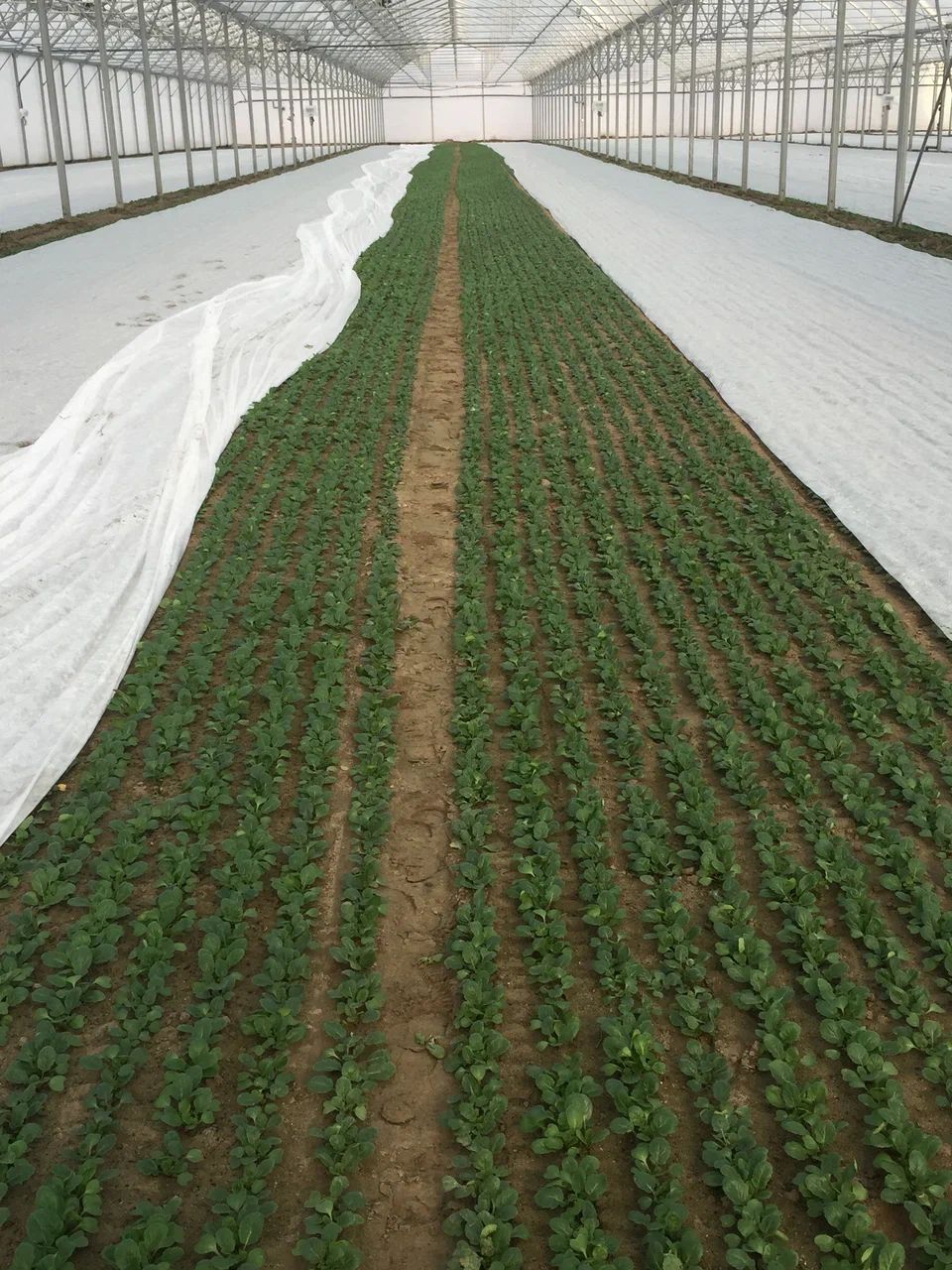 37.01.01.03.01.030.0200.3200.00_1