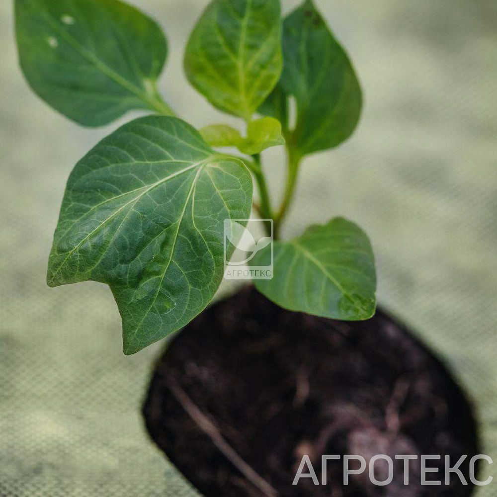 32.01.27.01.00.000.0000.0000.00_2