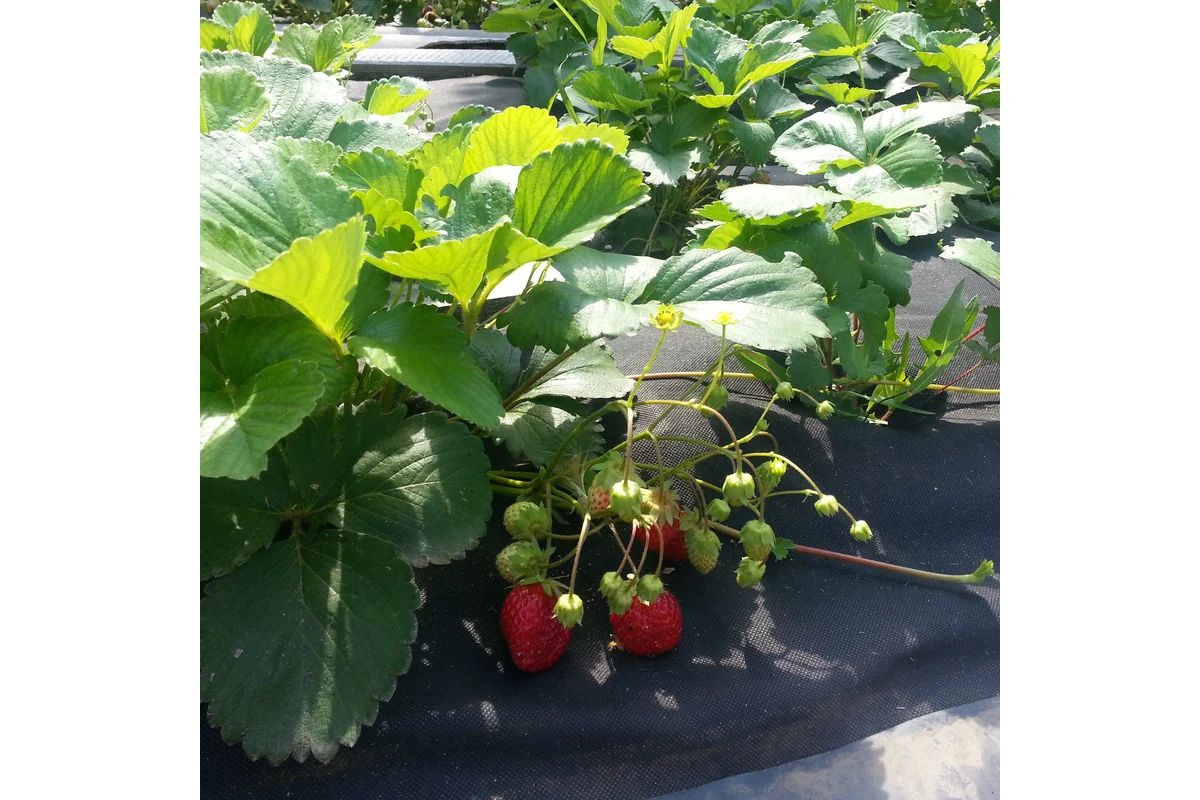 37.01.03.03.02.060.0200.3200.00_2