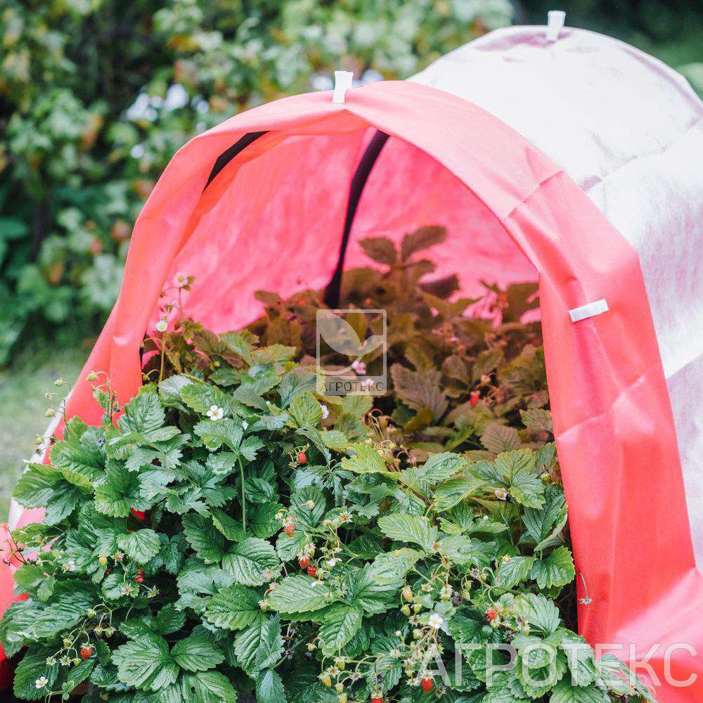 32.01.57.01.27.030.0010.3000.00_2