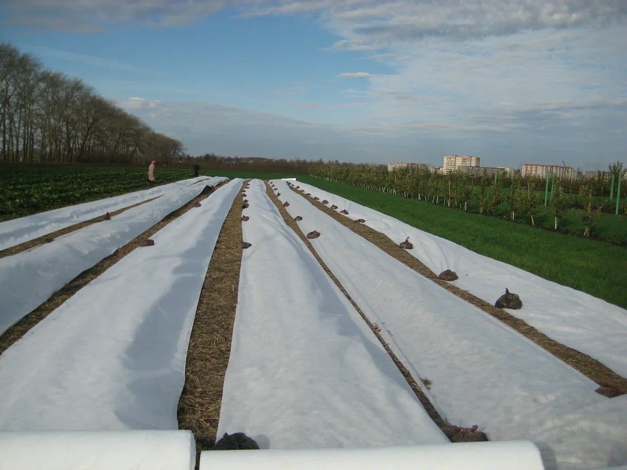 37.01.02.03.01.060.0200.3200.00_1