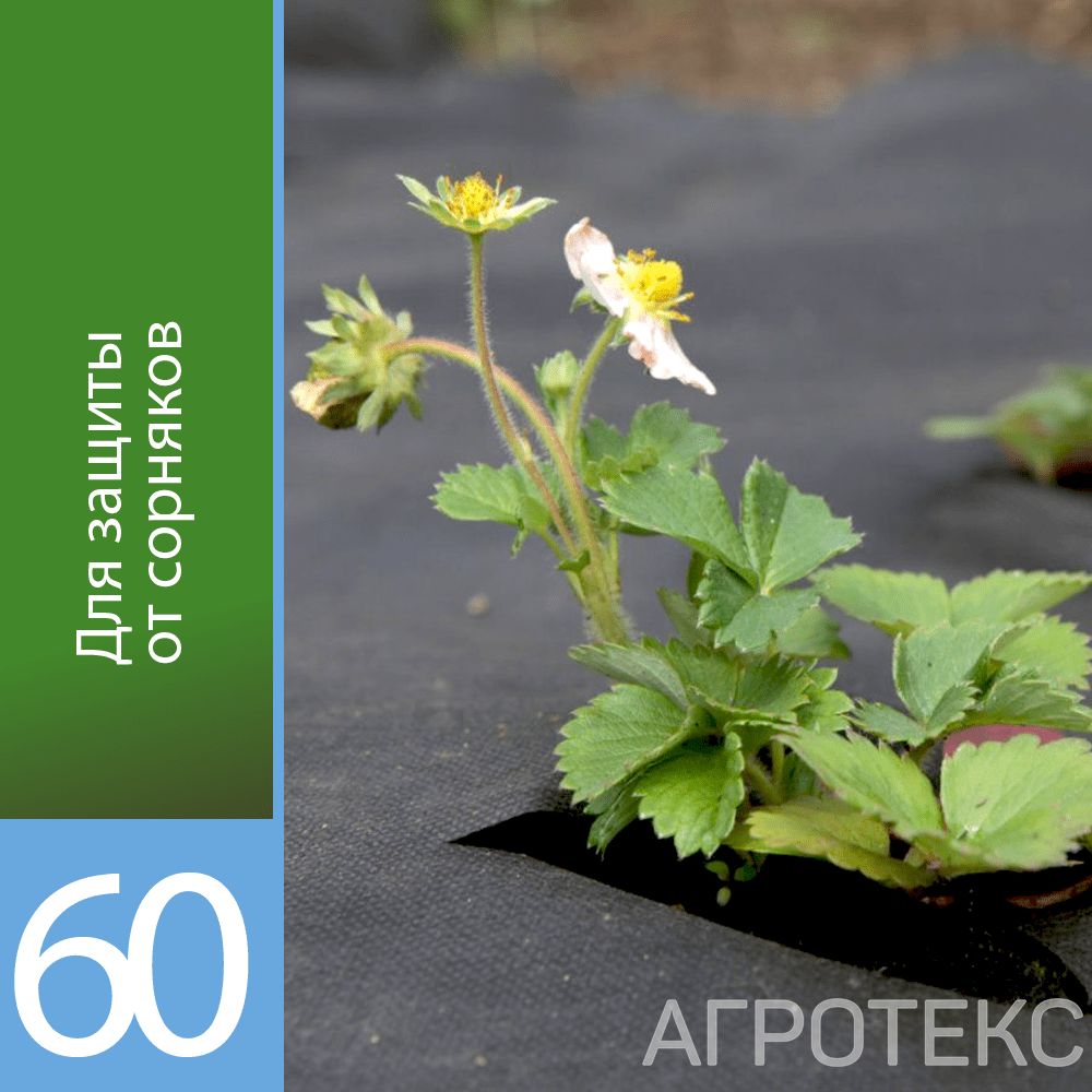 32.01.00.03.02.060.0010.1600.00_1