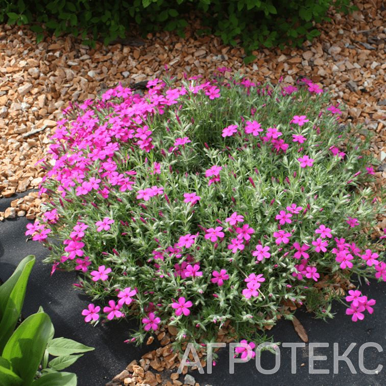 35.11.03.01.02.090.0010.0800.00_1