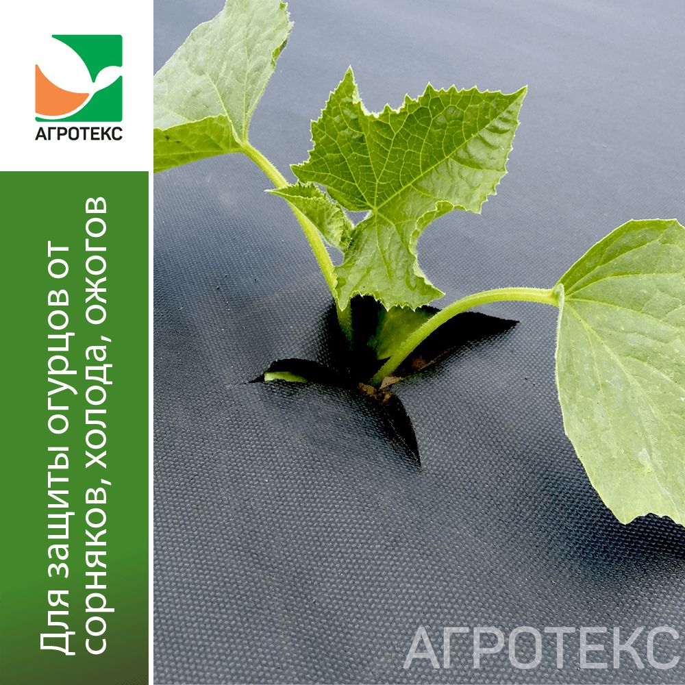 32.01.22.01.00.000.0000.0000.00_1