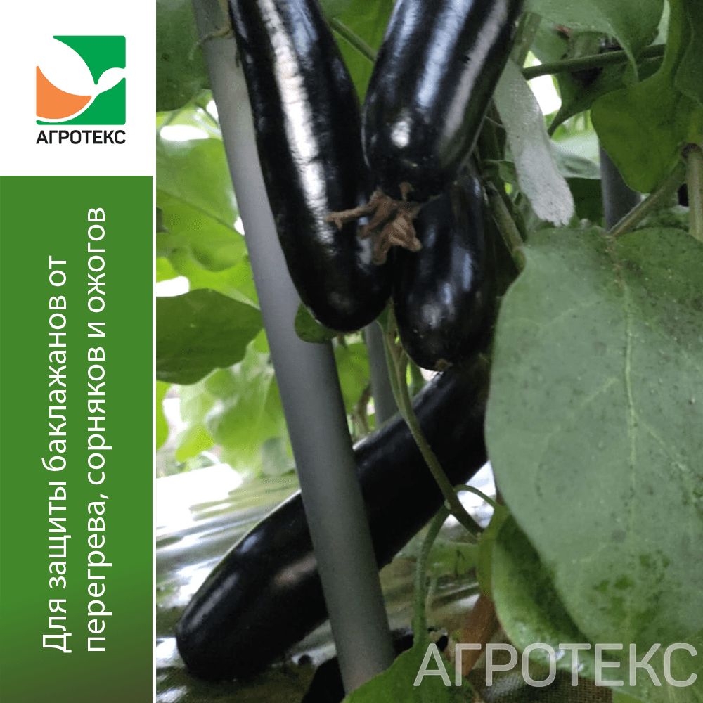 32.01.31.01.00.000.0000.0000.00_3