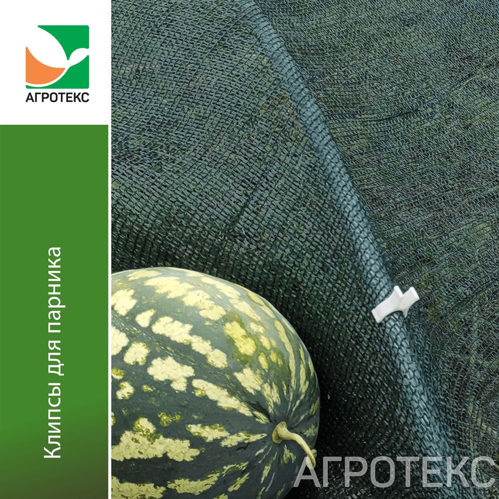 32.01.32.01.00.000.0000.0000.00_3