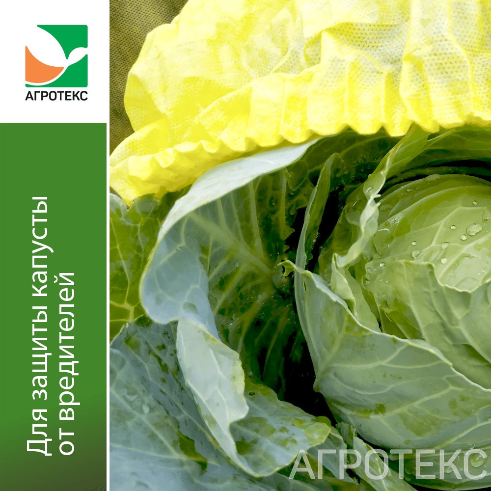 32.01.61.01.00.000.0000.0000.07_1