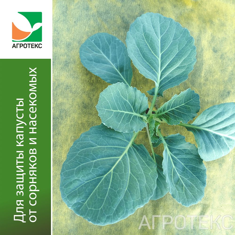 32.01.21.01.00.000.0000.0000.00_1