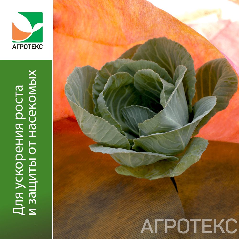 32.01.17.01.26.040.0010.3200.00_1