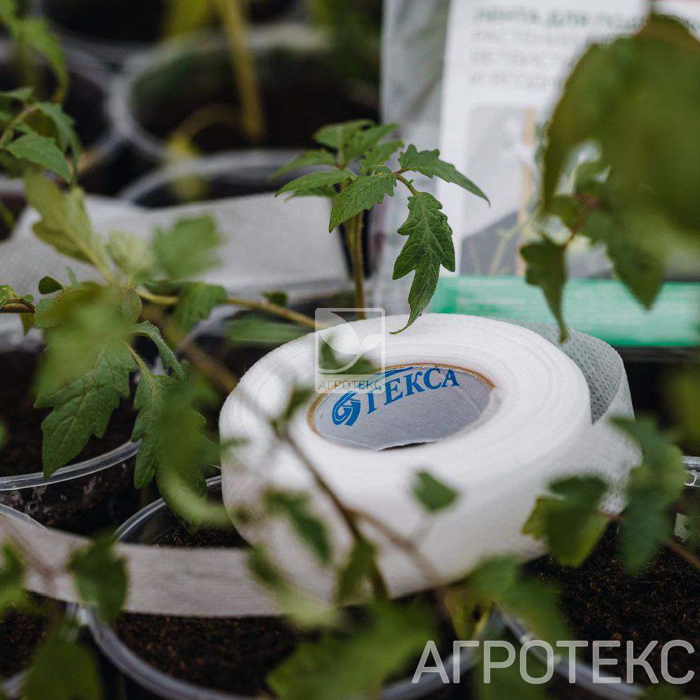 32.01.62.02.01.060.0015.0000.00_1