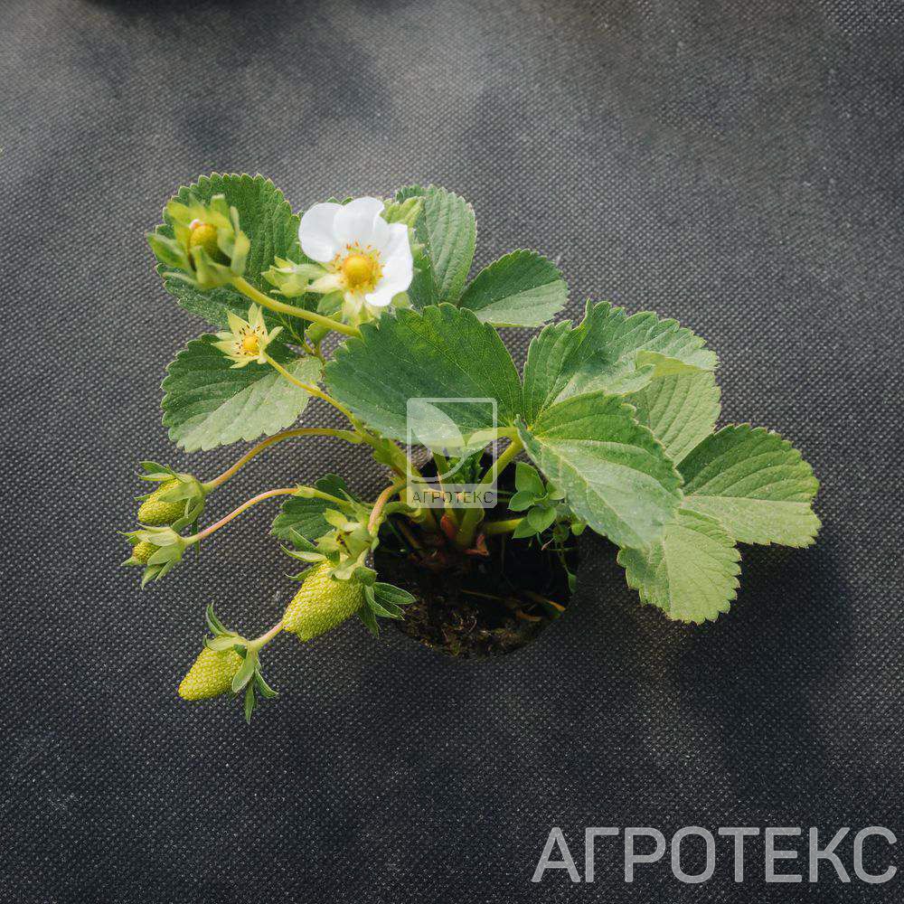 32.01.00.07.02.060.0010.1600.00_3