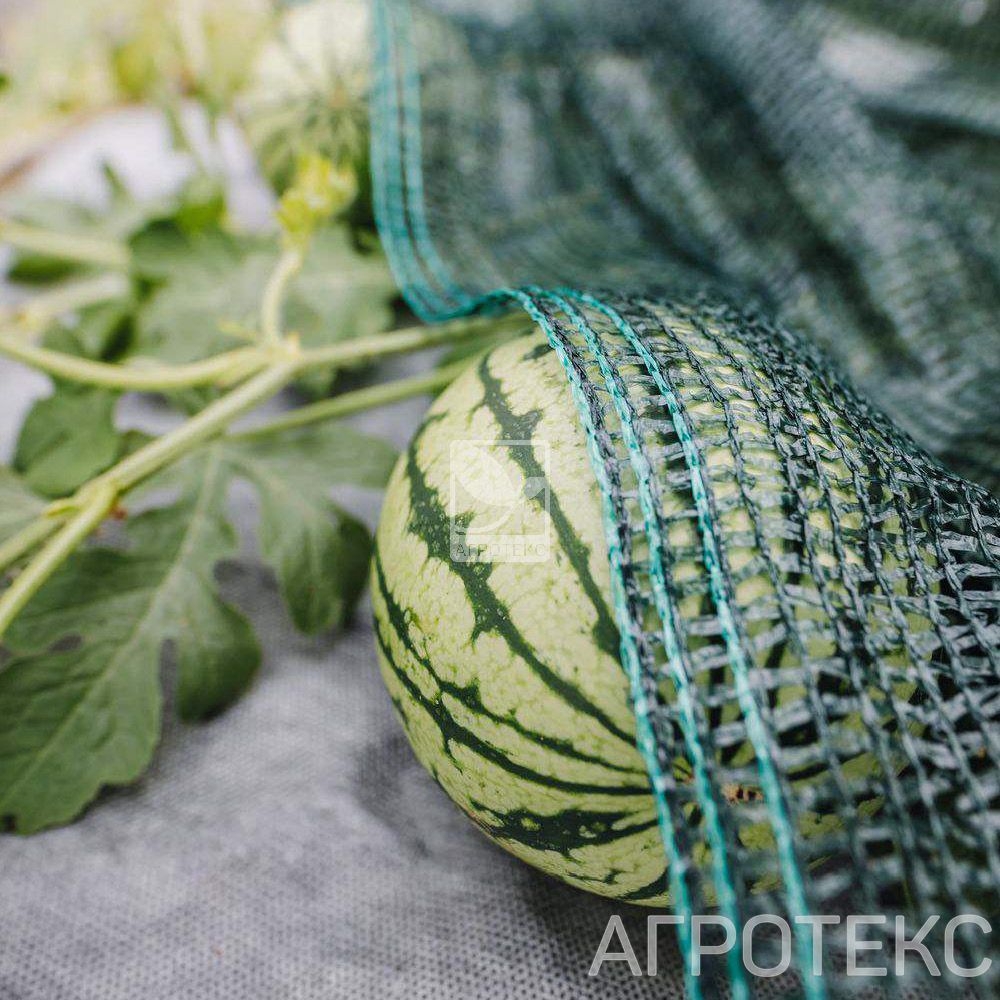 32.01.15.02.00.080.0050.6000.00_2