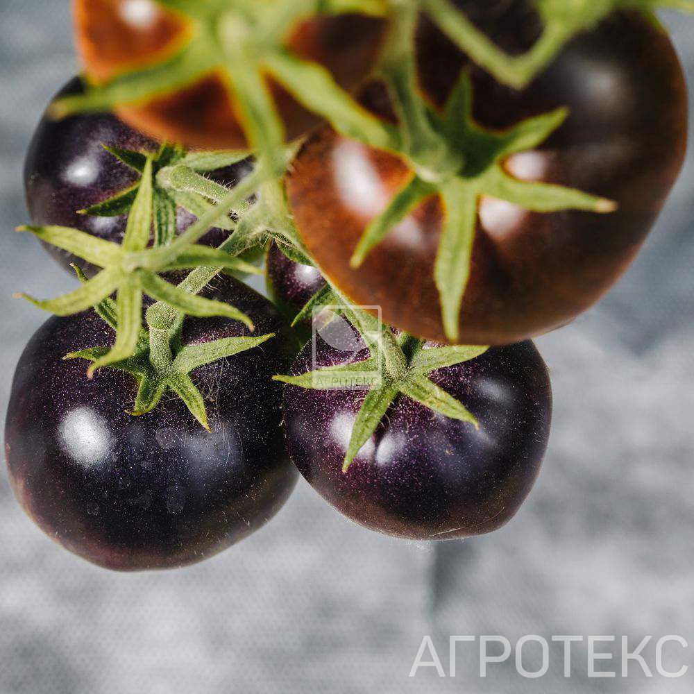 32.01.57.02.24.080.0200.1600.00_6