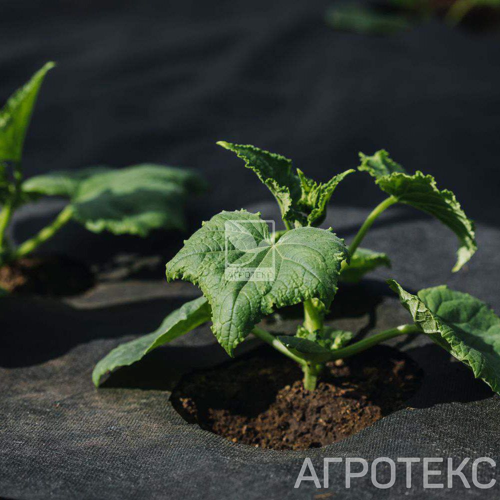 32.01.17.01.02.060.0010.3200.00_1