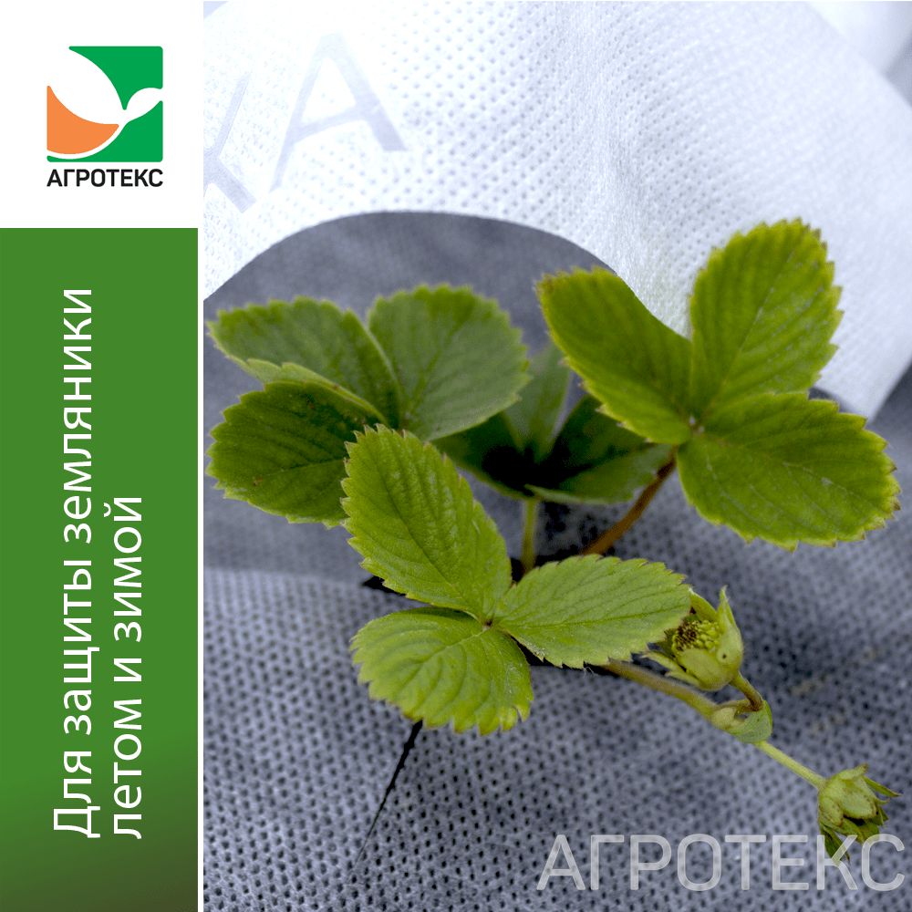 32.01.20.01.00.000.0000.0000.00_1