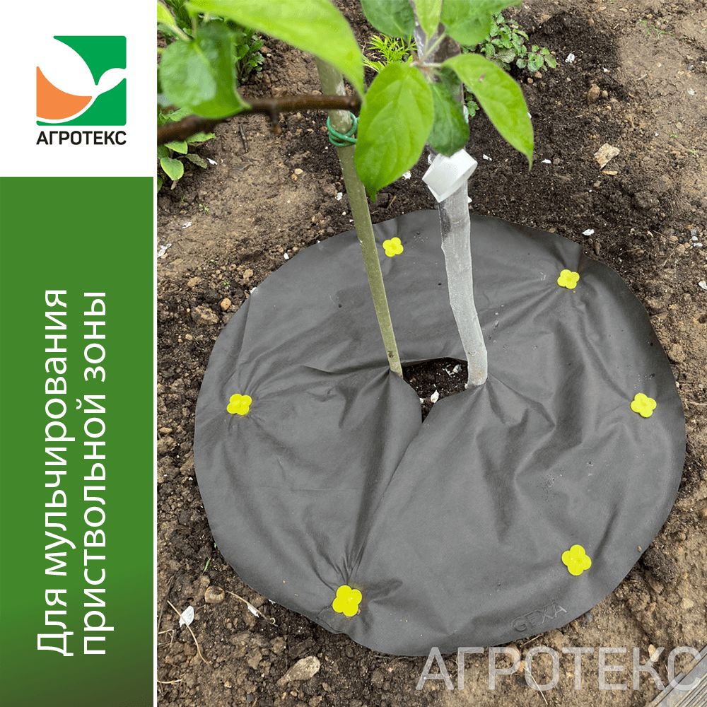 32.01.34.01.00.000.0000.0000.00_2