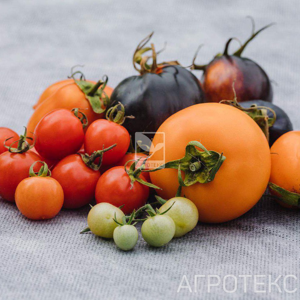 32.01.26.01.00.000.0000.0000.00_7