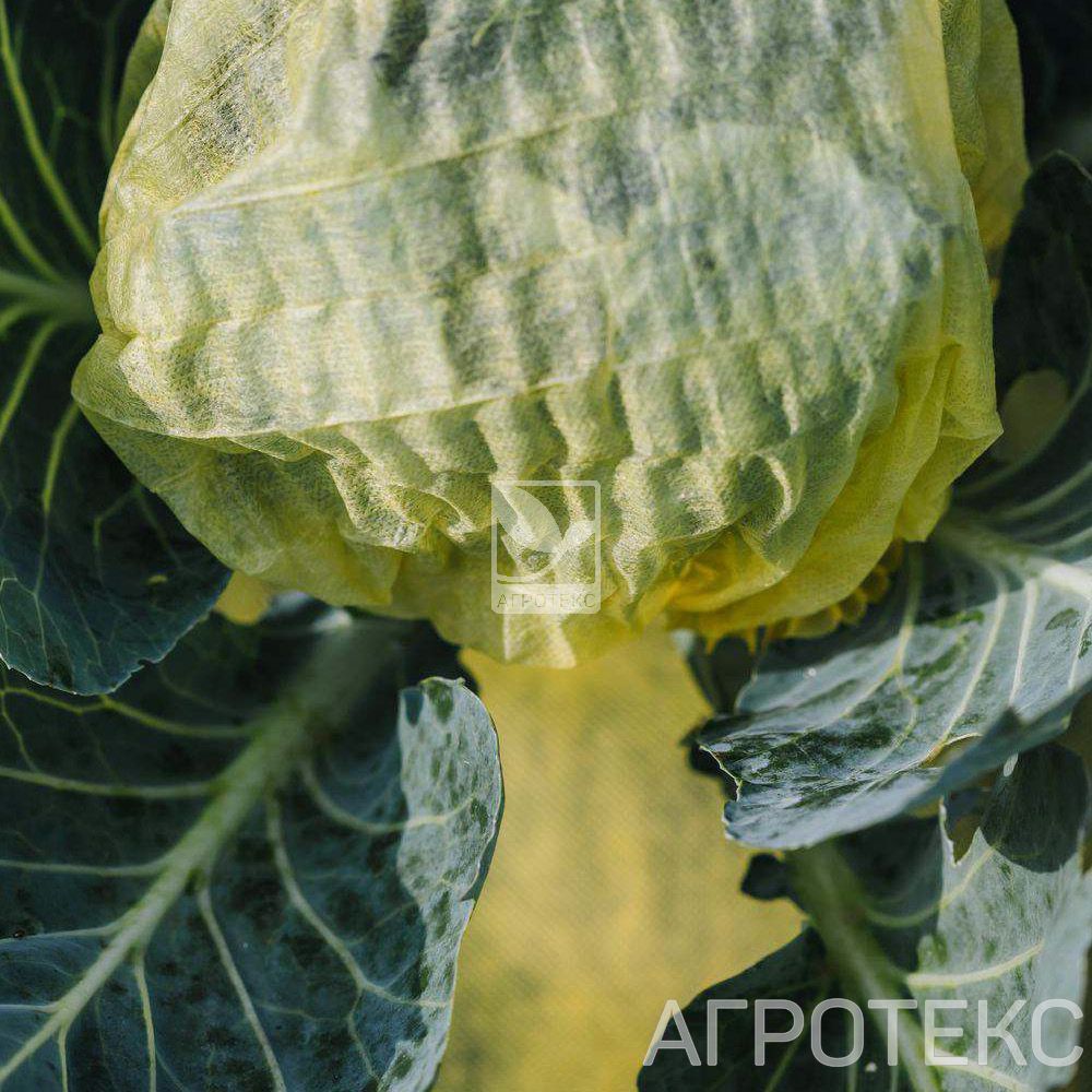 32.01.21.01.00.000.0000.0000.00_2