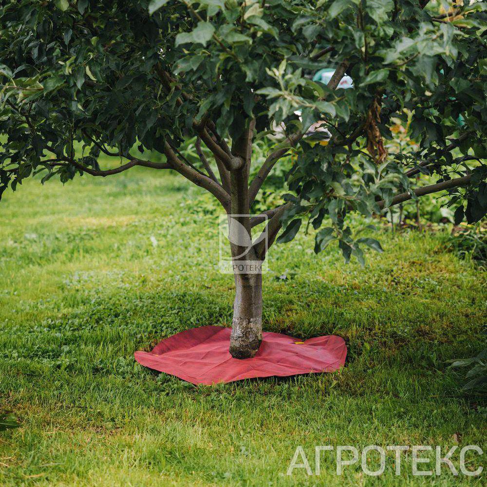 32.01.59.01.51.060.0000.0800.00_2