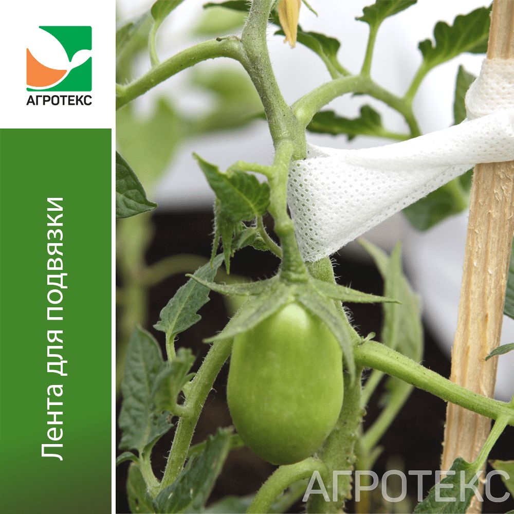 32.01.62.02.01.060.0015.0000.00_1