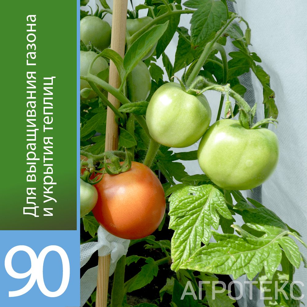 32.11.33.51.00.000.0000.0000.00_1