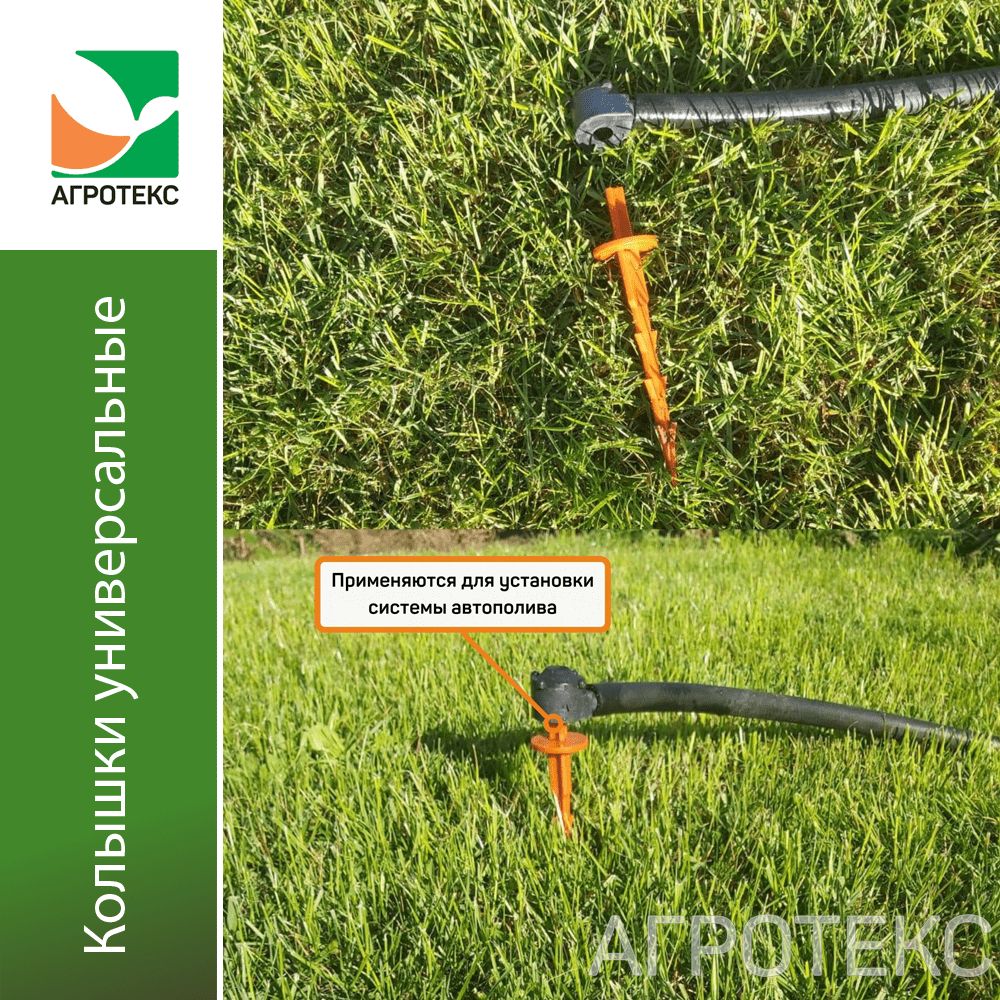 32.01.28.01.16.000.0000.0000.00_1