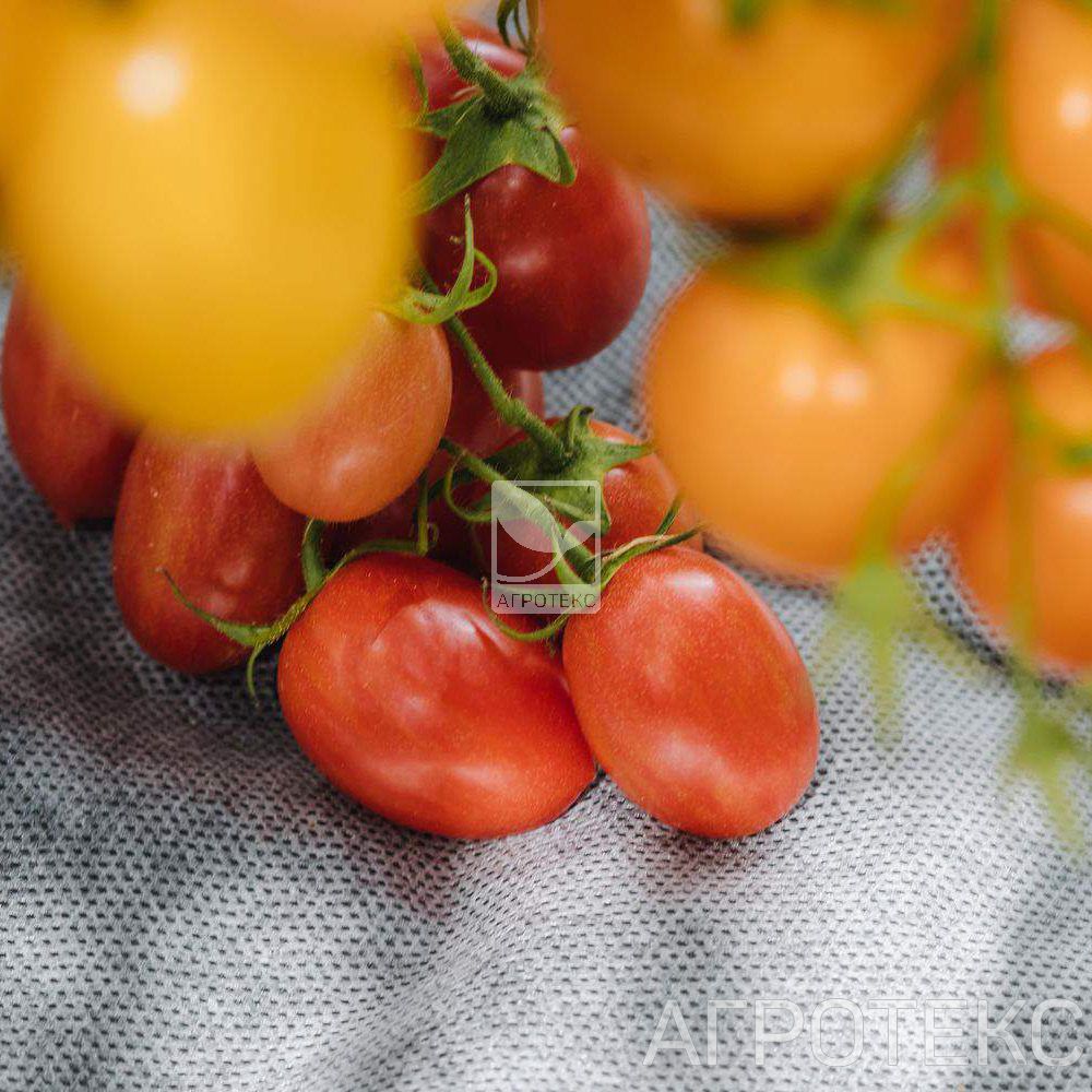 32.01.17.01.24.080.0010.1060.00_9