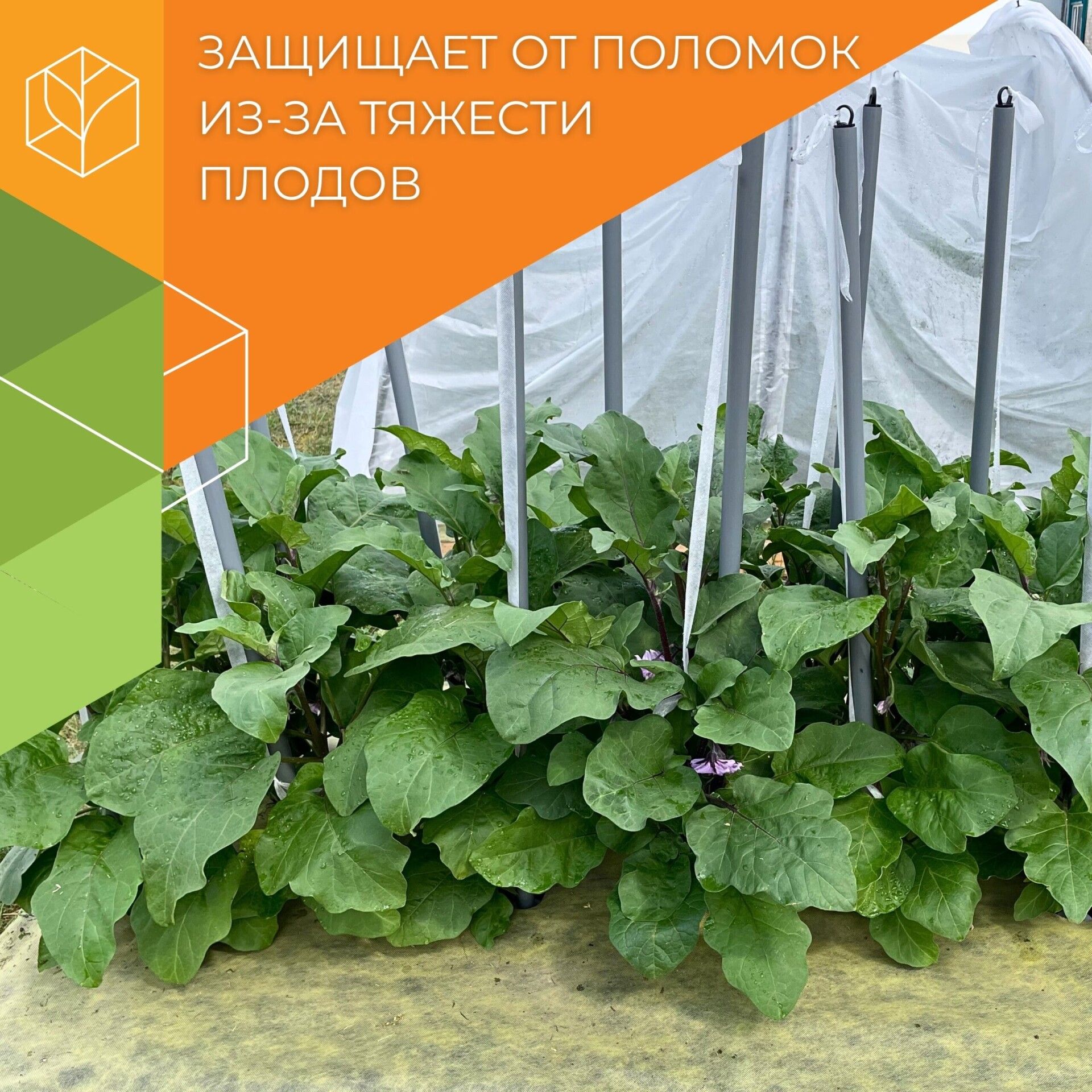 32.01.29.02.00.000.0000.0000.00_1