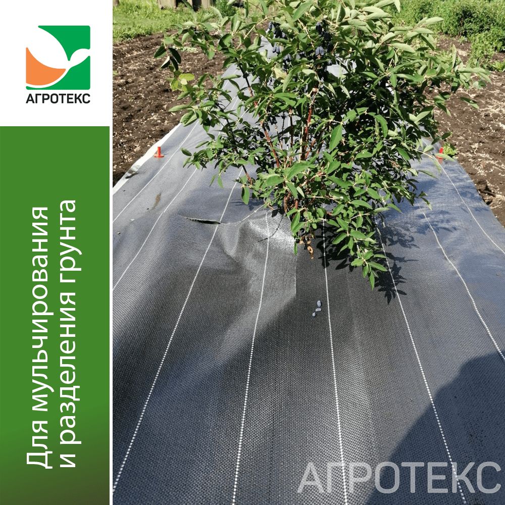 32.01.19.02.02.060.0010.1600.02_1