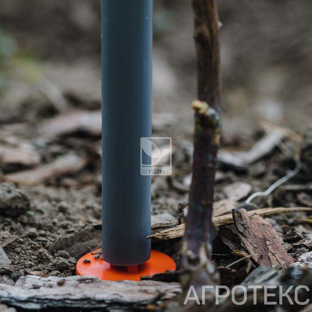 32.01.29.02.00.000.0000.0000.00_1