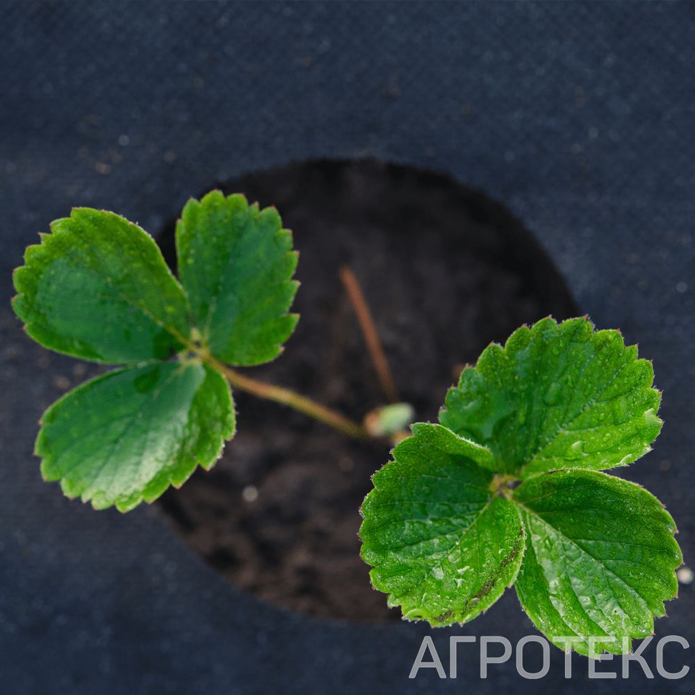 32.01.00.07.02.060.0010.1600.00_1