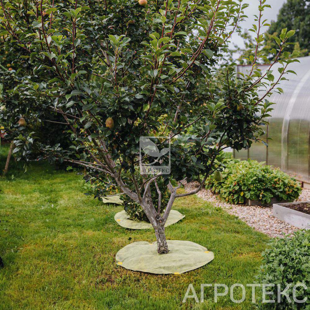 32.01.59.01.38.060.0000.0800.00_3