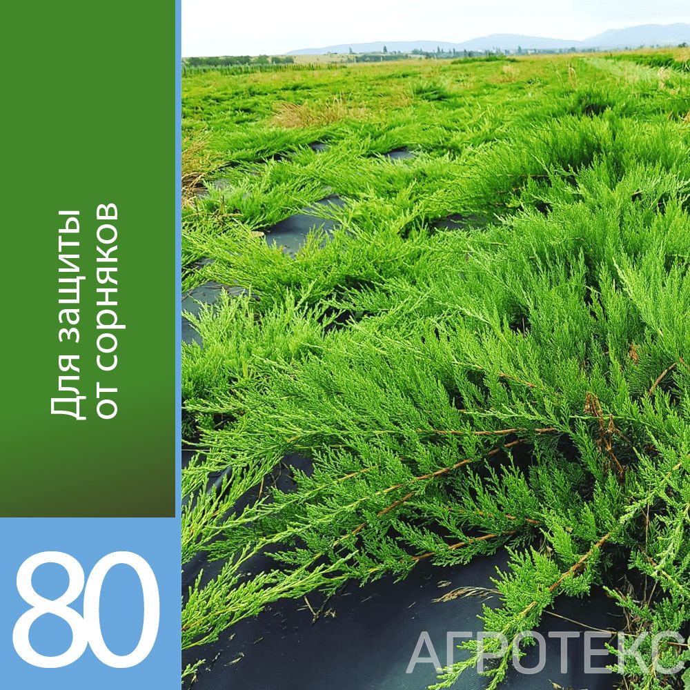 32.01.17.01.02.080.0010.1600.00_3